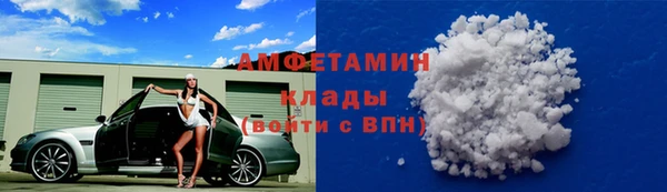 стафф Алзамай