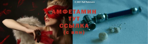 стафф Алзамай