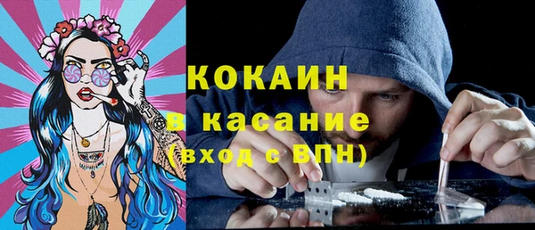 ешки Алексин