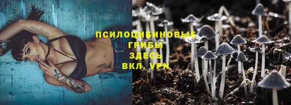 ешки Алексин