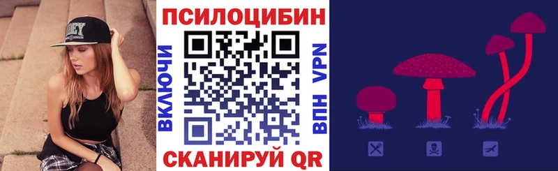 kraken зеркало  Калининск  Галлюциногенные грибы Psilocybine cubensis  цены  